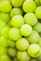 Ripe white grape. Macro.