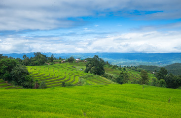 Green Terraces rice field scenery with morning blue sky cloudy at Baan Papongpieng Chiang Mai Thailand