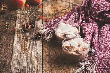 Hot chocolate with marshmallows