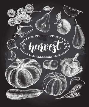 Ink hand drawn set of vegetables and fruits - cherry tomatoes, zucchini, pumpkin, patisson, pear, apple. Autumn harvest elements collection with brush calligraphy style lettering. Vector illustration.