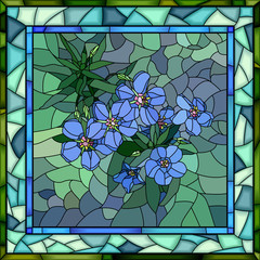 Vector illustration of flowers blue anagallis.