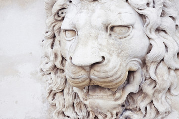 Naklejka premium Sculpture of a medieval lion head of stone (Italy)