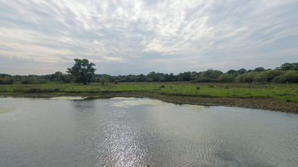 Water ways in a park in the countryside in late September, late afternoon in England