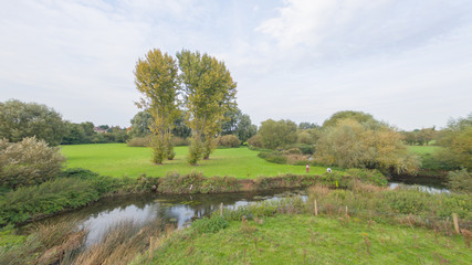Water ways in a park in the countryside in late September, late afternoon in England
