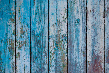 Fototapeta na wymiar wooden boards with shabby blue paint (background, texture)