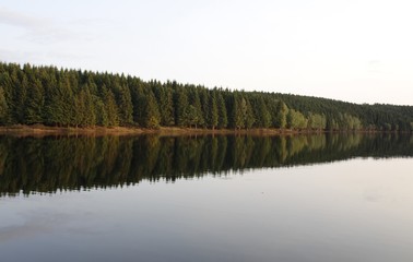 great reflection of the bank