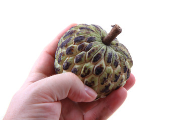 annona fruit isolated