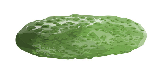 Isolated fresh cucumber.