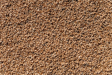 grain texture, wheat,