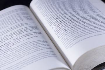 Fototapeta premium open book
