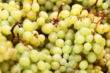 Bunches of grapes in the supermarket