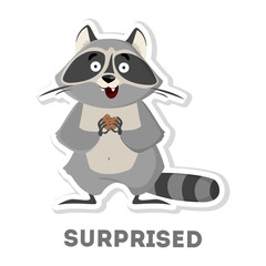 Isolated surprised raccoon.