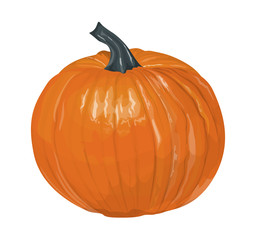 Isolated orange pumpkin.