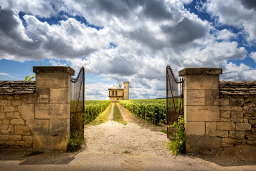 Chateau with vineyards, Burgundy, France