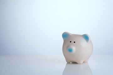 Fototapeta premium Piggy bank. Money saving concept.