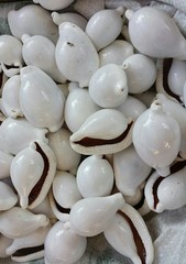 White seashells background, closeup