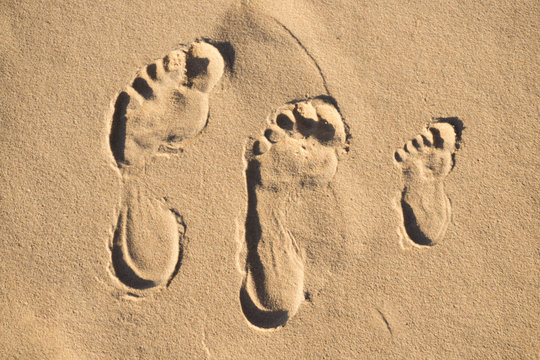 Footprints in the sand on the beach of the Baltic Sea in summer: summer is almost gone, waiting for autumn.