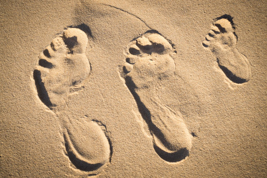 Footprints in the sand on the beach of the Baltic Sea in summer: summer is almost gone, waiting for autumn.