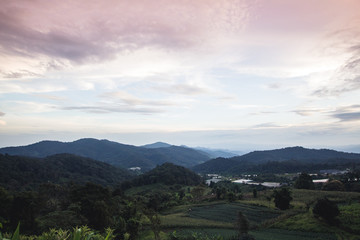 Mountain meadow Highland agriculture at Southeast Asia In the evening in the rainy season