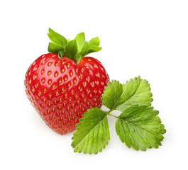 Red berry strawberry