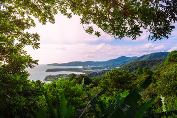 Jungle on the island overlooking the beach