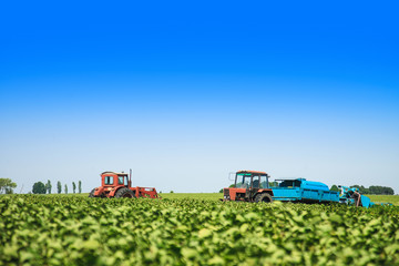 Agricultural machines in a soy field in a sunny summer day.