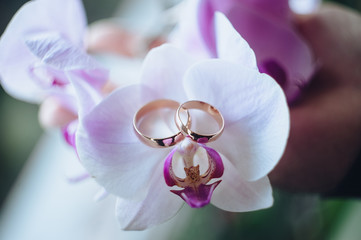 Close up on wedding bouquet and rings.