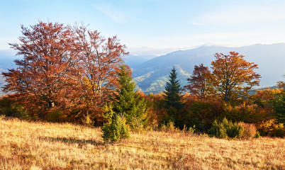Autumn in mountain, amazing landscape