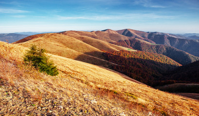 Autumn in mountain, amazing landscape