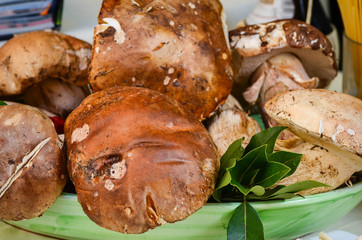 fresh mushrooms close up - fresh vegetables