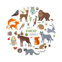 Vector set of forest animals isolated on white background.