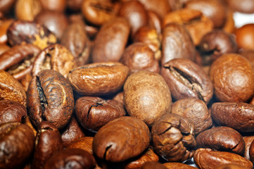 Coffee Grains fried on a coffe background. Macro