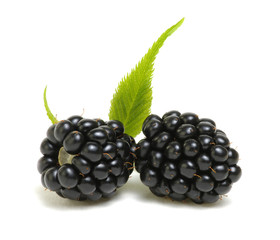 Blackberries with leaves