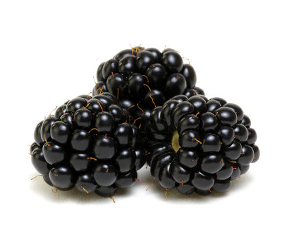  Ripe blackberries isolated on white background