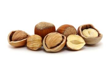 Hazelnut isolated on white