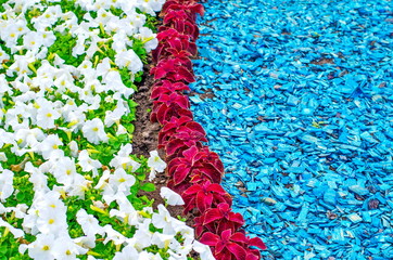 colorful flowerbed and lawns in a city part with vivid colors