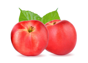 Peach on white background