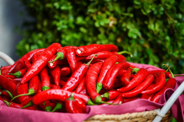 paprika close up - fresh vegetables