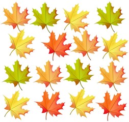 Fototapeta premium Autumn leaves pattern Vector realistic on white background