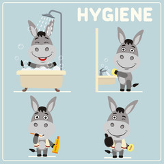 Collection isolated of donkey in cartoon style for rules of child hygiene. Set of funny donkey is hygiene: showering, washing hands, brushing her teeth.