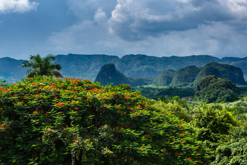 Obraz premium Scenic View in Vinales Cuba