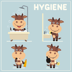 Collection isolated of bull in cartoon style for rules of child hygiene. Set of funny bull is hygiene: showering, washing hands, brushing her teeth.