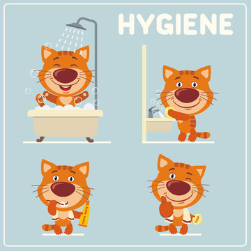 Collection isolated of kitten cat in cartoon style for rules of child hygiene. Set of funny kitten is hygiene: showering, washing hands, brushing her teeth.