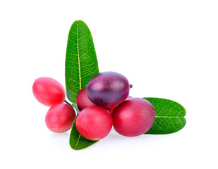 bengal-currants, carandas-plum, isolated on white background.