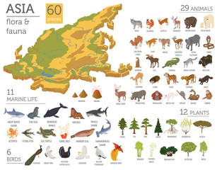 Isometric 3d Asian flora and fauna map constructor elements. Animals, birds and sea life isolated on white big set. Build your own geography infographics collection © a7880ss