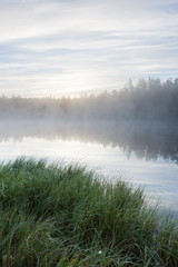 Fototapety  Mglisty poranek w krajobrazie leśnego stawu Finlandia