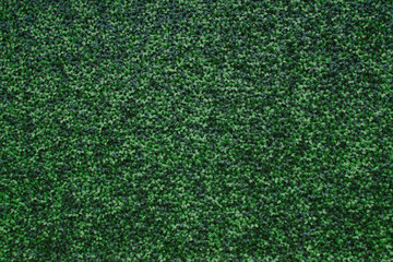 Artificial green leaves decorative pattern wall background.