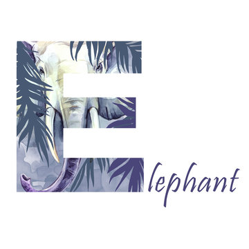 Capital letter E of watercolor elephant in jungle, isolated hand drawn on a white background. African animal. Wildlife alphabet. Can be printed on T-shirts, posters, invitations, kids cards.