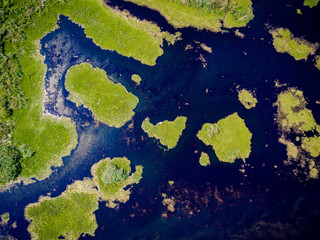 Danube Delta from above aerial view