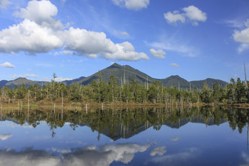 Reflection of Trees and Mountains on Still Lake
